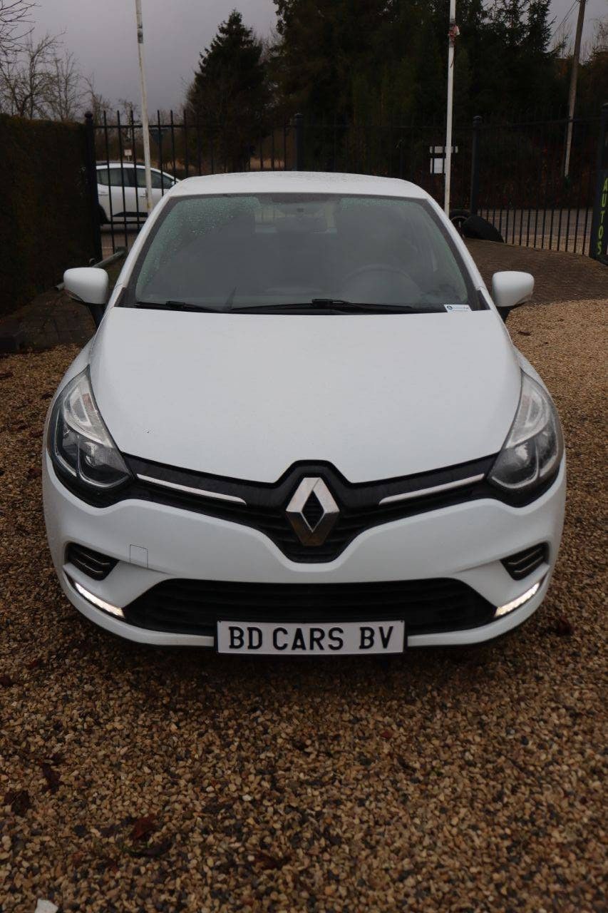 Renault Clio Benzin-Pkw 2019 (Marge)