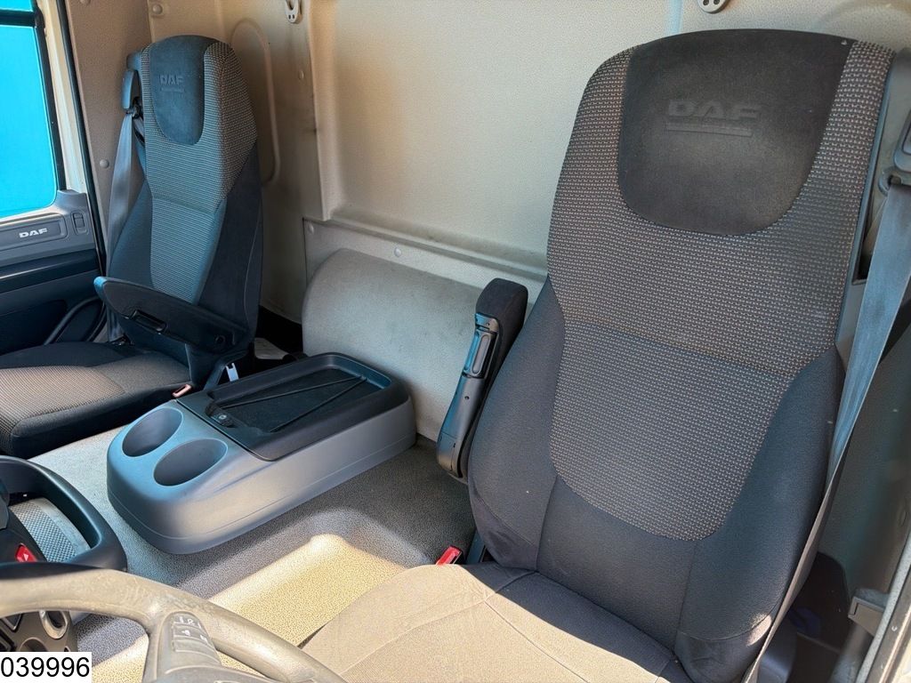 DAF CF 310 EURO 6, Dhollandia