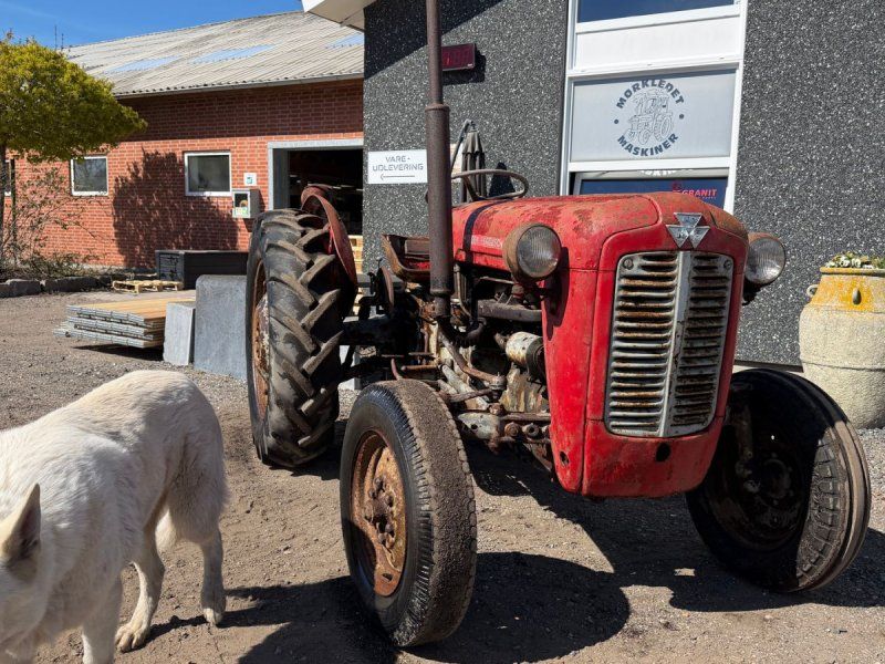Massey Ferguson 35 Fint projekt