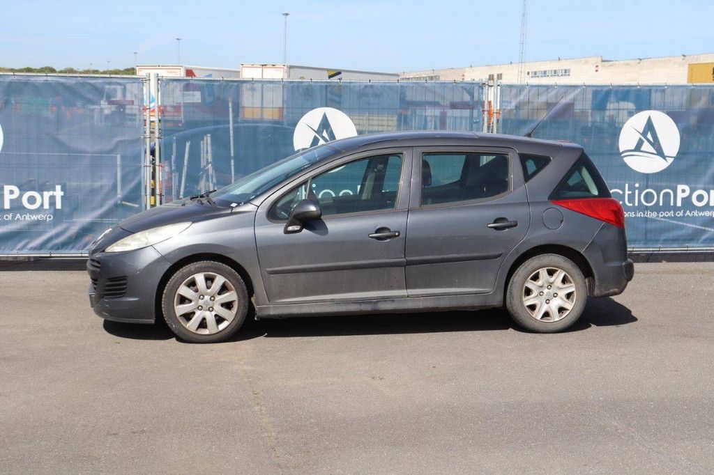 Passenger car Peugeot 207 Diesel 90hp 2011 (Margin)