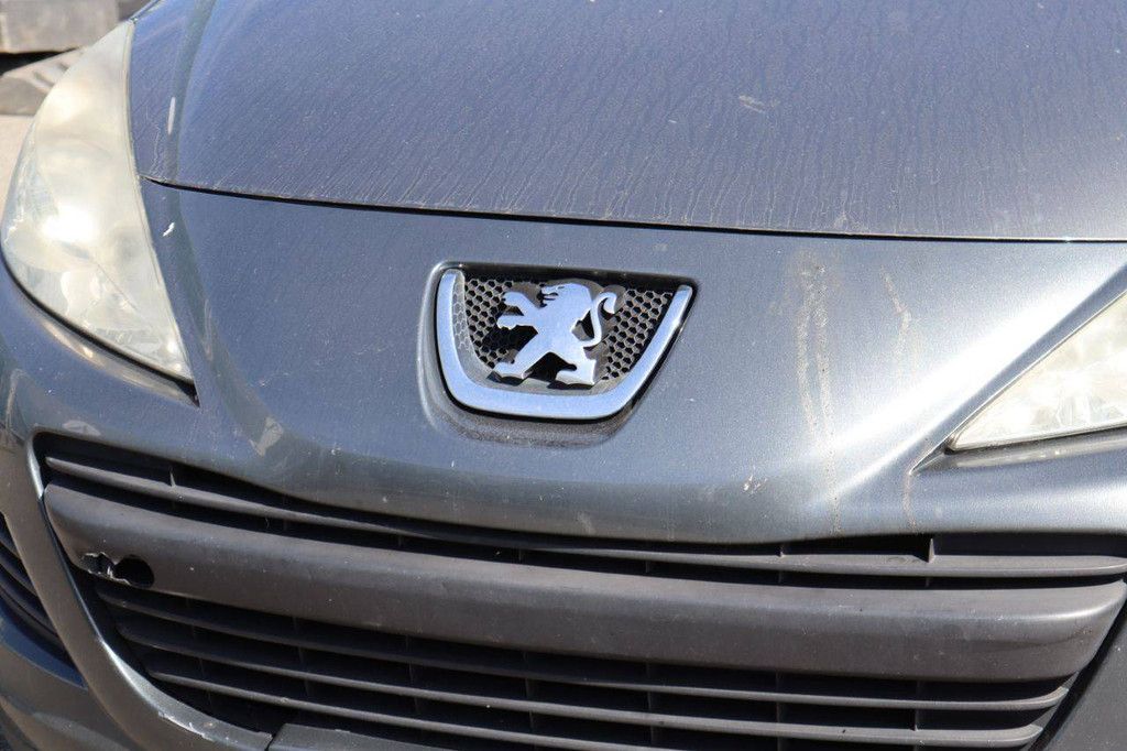 Passenger car Peugeot 207 Diesel 90hp 2011 (Margin)