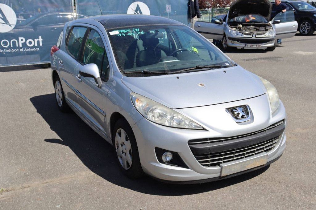 Passenger car Peugeot 207 Diesel 90hp 2009 (Margin)