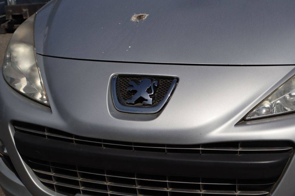 Passenger car Peugeot 207 Diesel 90hp 2009 (Margin)