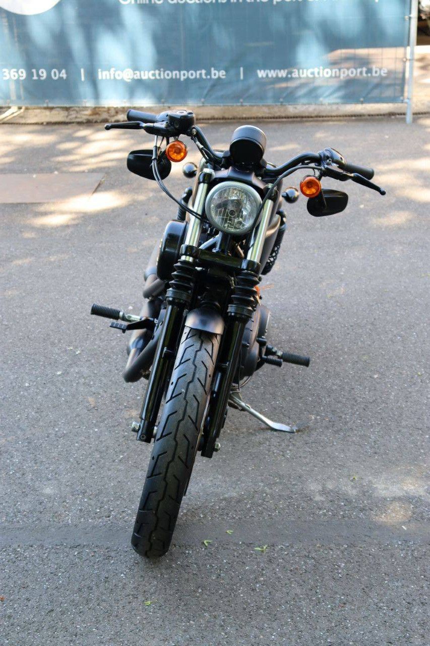 Motorcycle Harley-Davidson Sporter XL883 Iron Petrol 2015