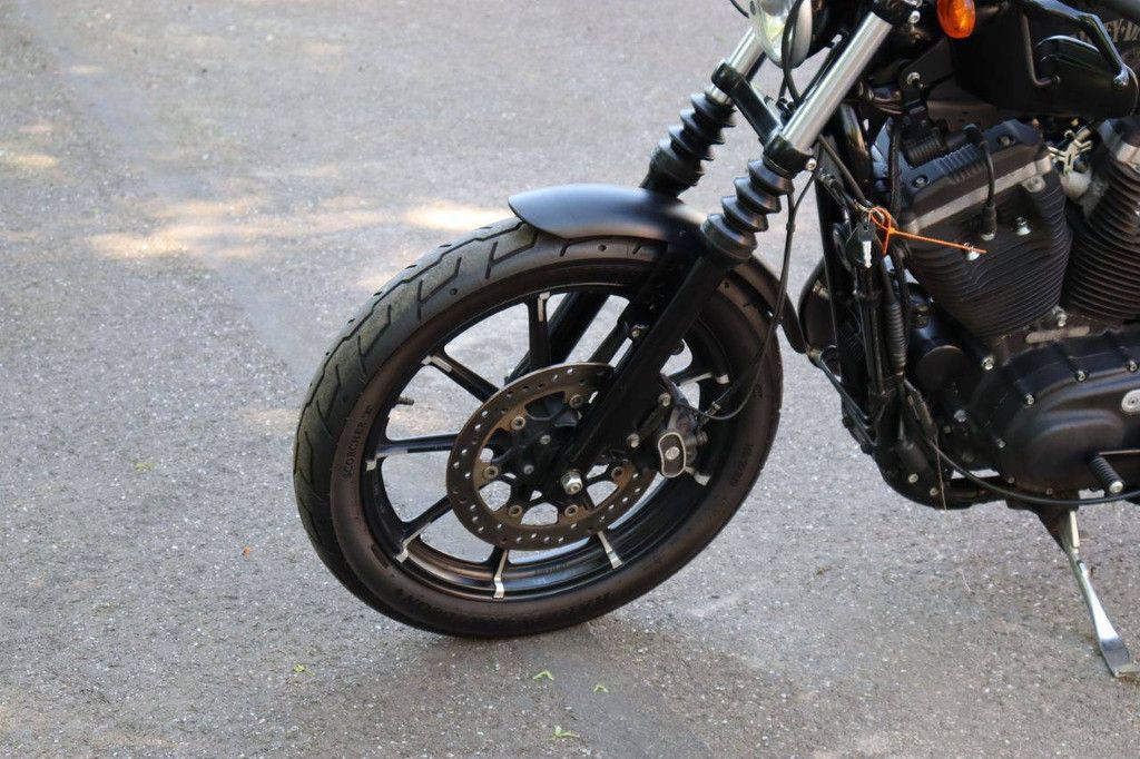 Motorcycle Harley-Davidson Sporter XL883 Iron Petrol 2015
