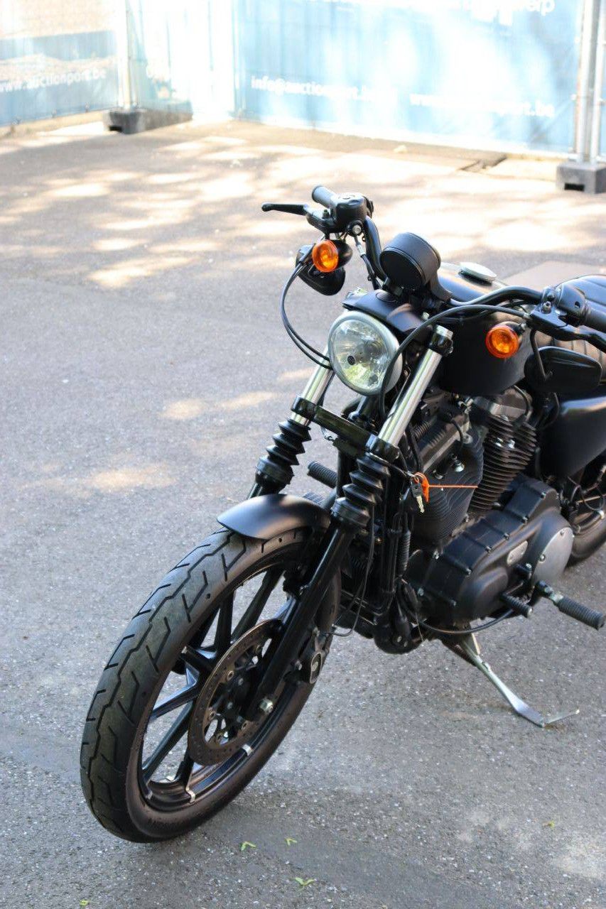 Motorcycle Harley-Davidson Sporter XL883 Iron Petrol 2015