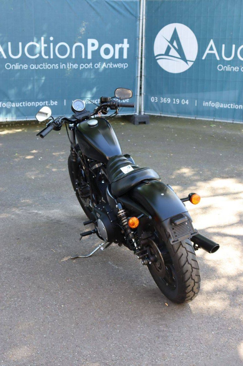 Motorcycle Harley-Davidson Sporter XL883 Iron Petrol 2016