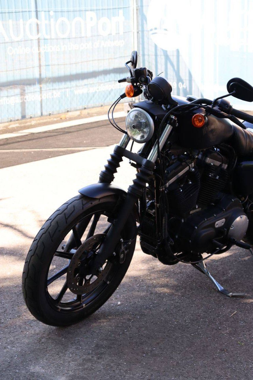Motorcycle Harley-Davidson Sporter XL883 Iron Petrol 2016