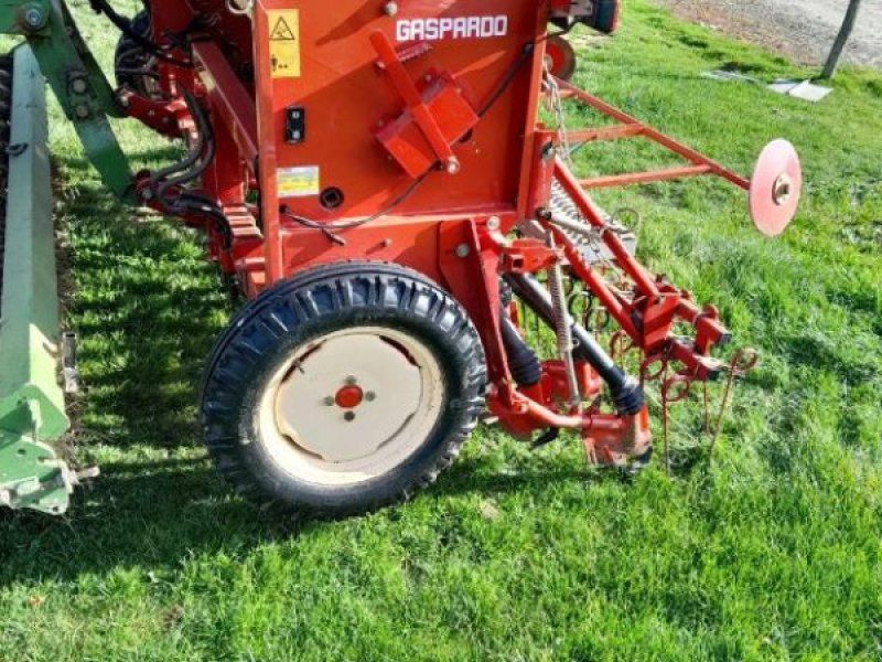 Gaspardo M300 F21