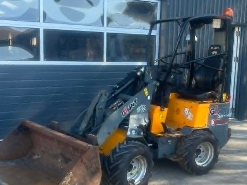 Giant D204SW