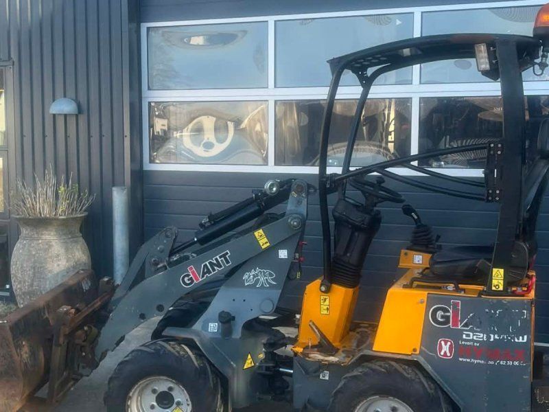 Giant D204SW