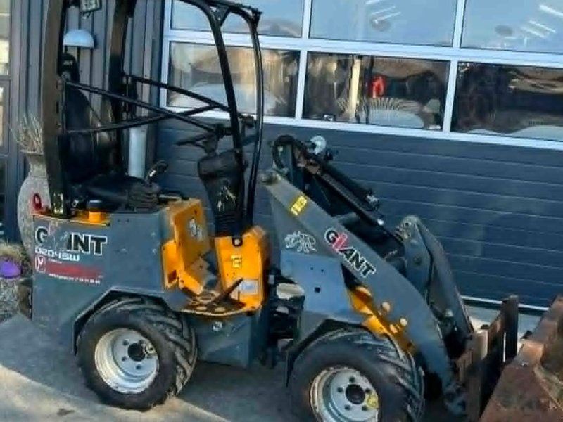 Giant D204SW