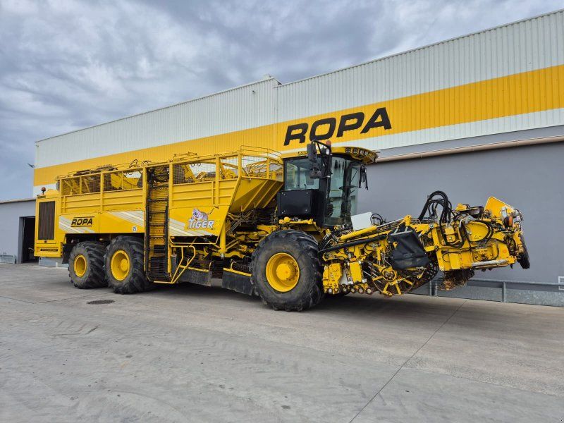 Ropa euro-Tiger V8-4b