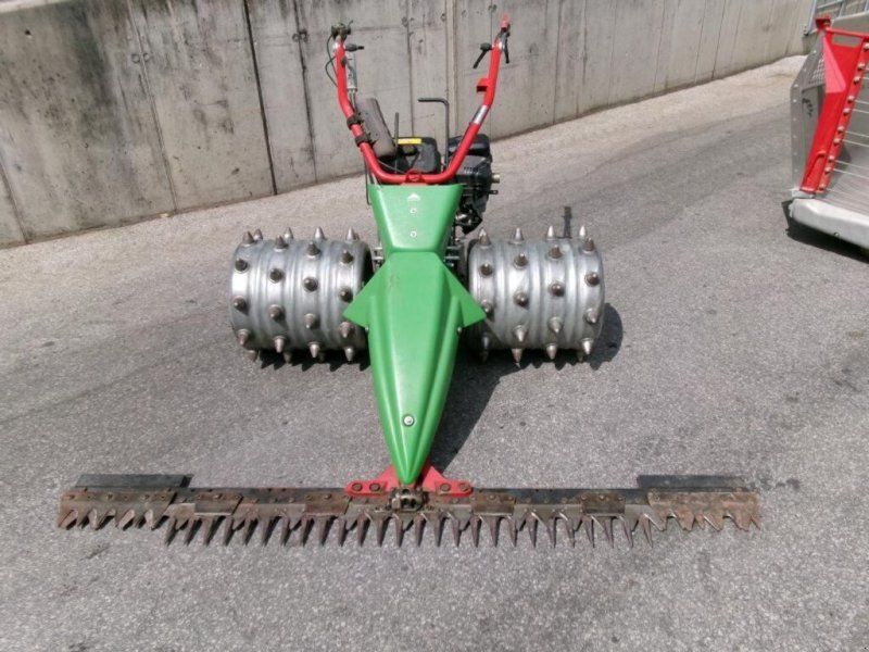 Rapid Swiss