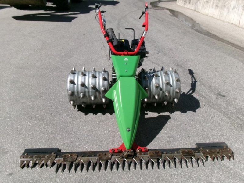 Rapid Swiss