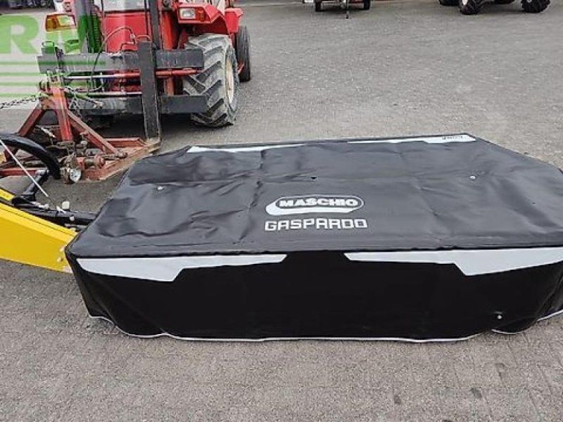 Maschio bora lt 240