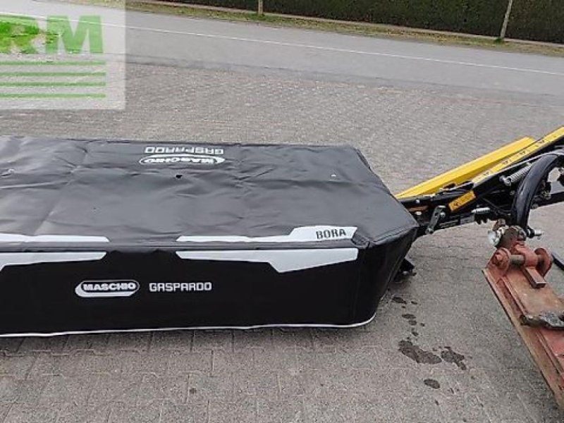 Maschio bora lt 240