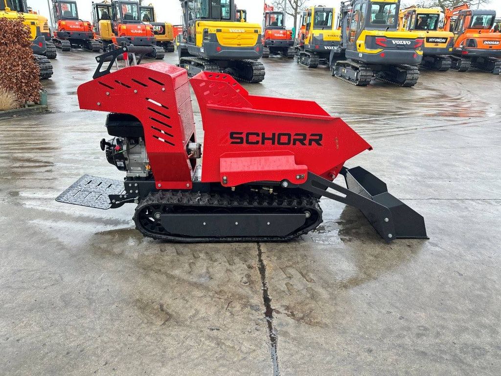 Tracked Dumper Schorr RR500 Petrol 2025 New
