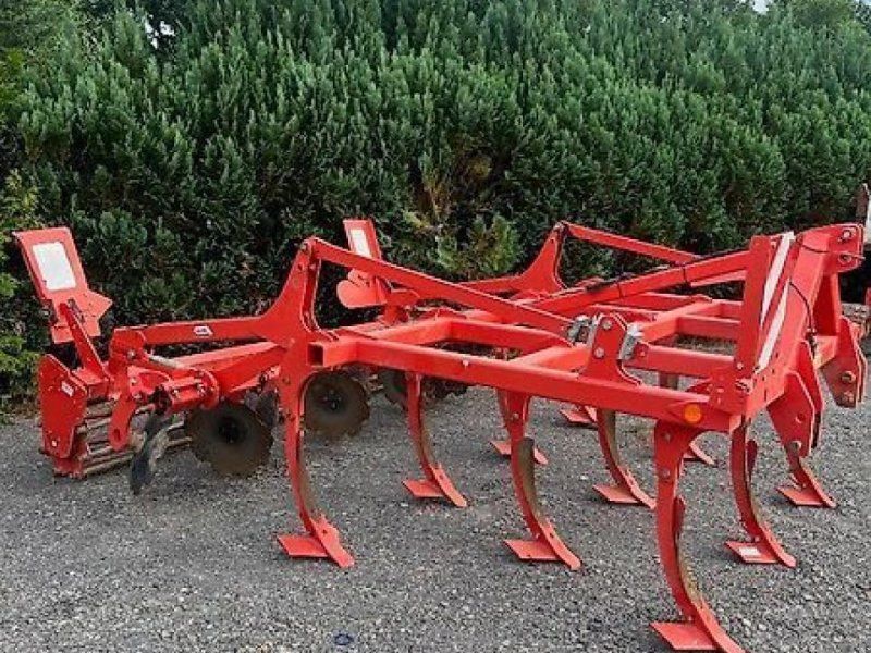 Maschio terremoto 3