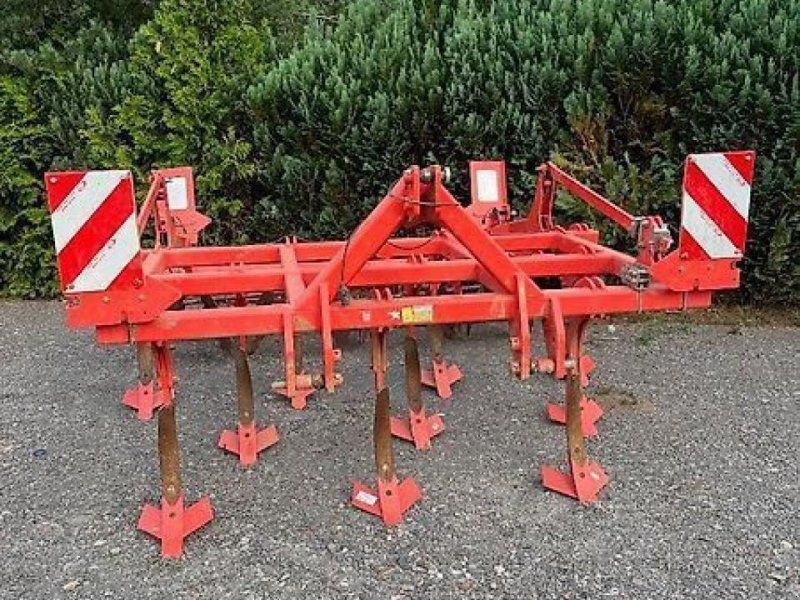 Maschio terremoto 3
