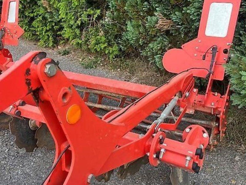Maschio terremoto 3