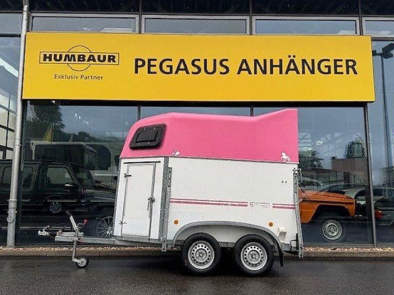 Schmidt SP 2 Pferde Island Pony 1,45t.