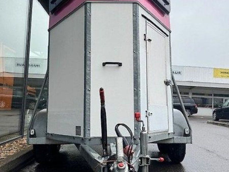 Schmidt SP 2 Pferde Island Pony 1,45t.