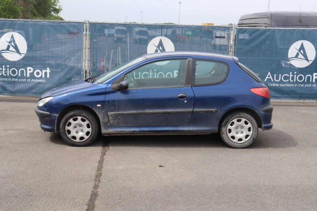 Passenger car Peugeot 206 Petrol 75hp 2006 (Margin)