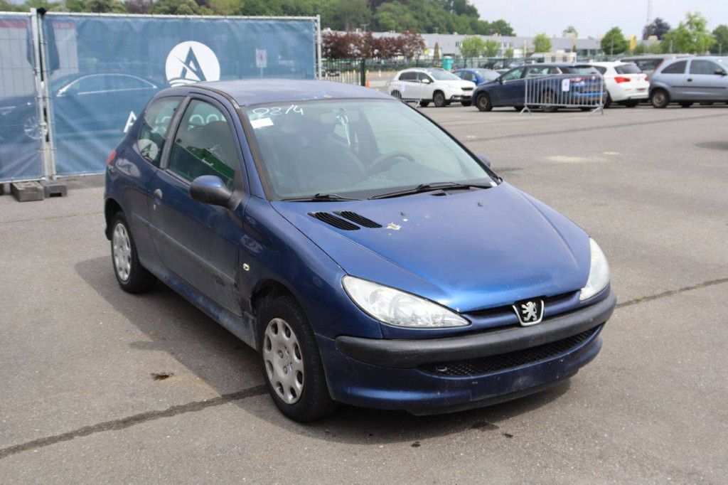 Passenger car Peugeot 206 Petrol 75hp 2006 (Margin)