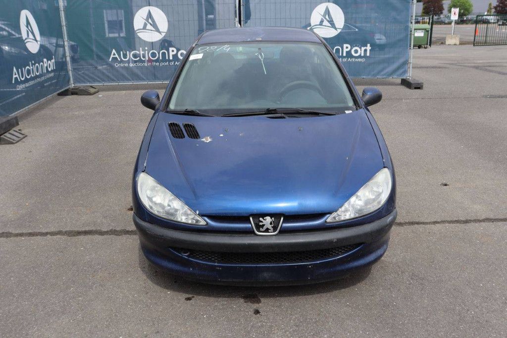 Passenger car Peugeot 206 Petrol 75hp 2006 (Margin)