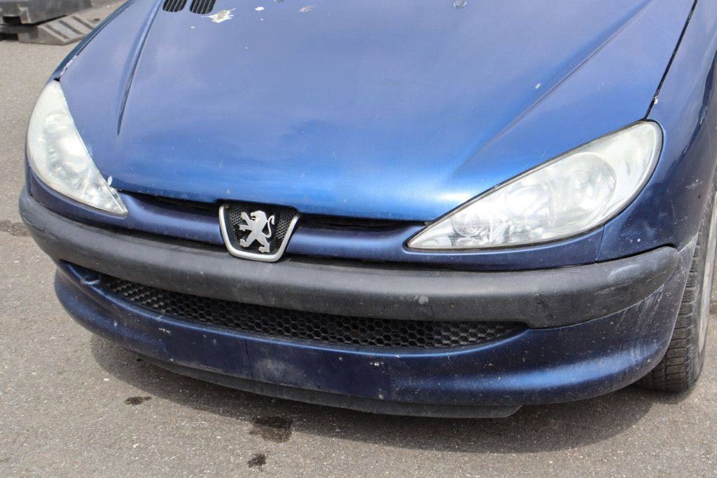 Passenger car Peugeot 206 Petrol 75hp 2006 (Margin)