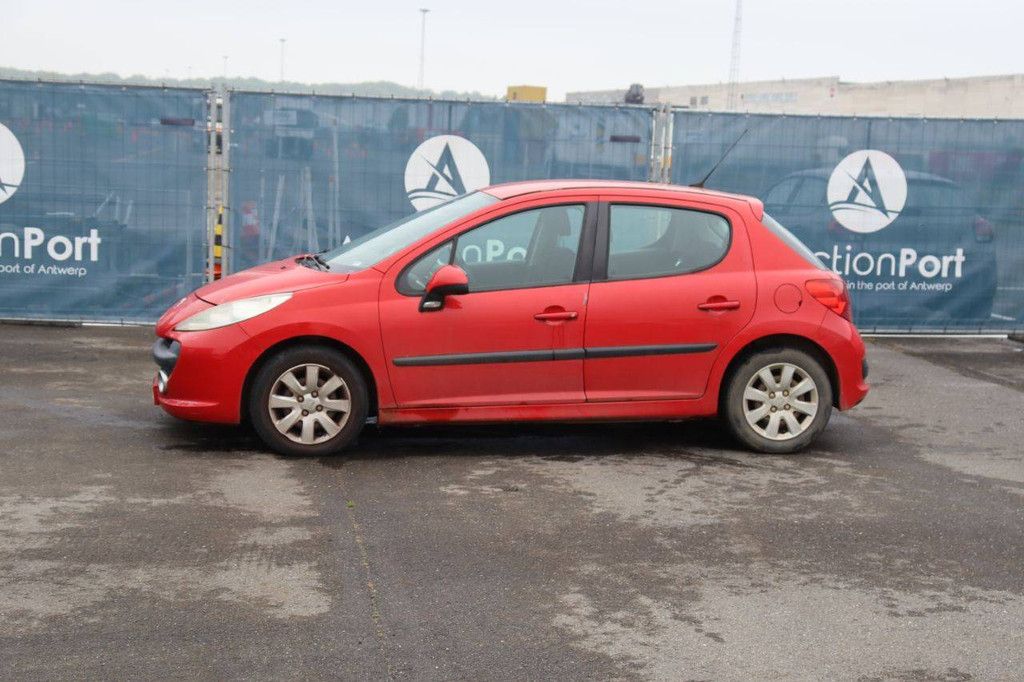 Passenger car Peugeot 207 Diesel 88hp 2009 (Margin)