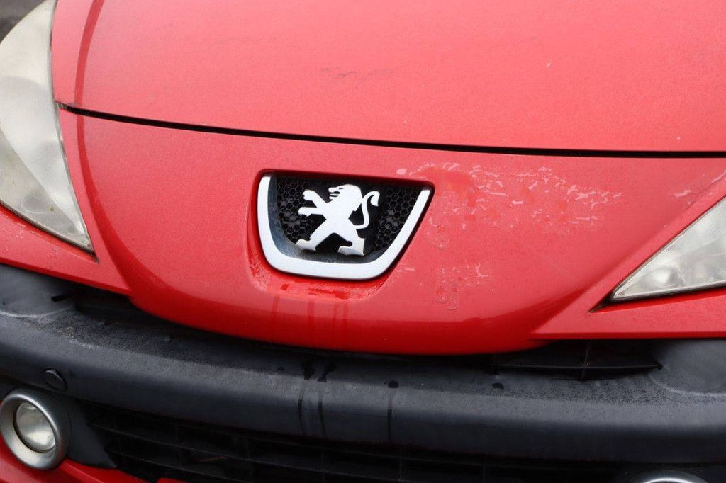 Passenger car Peugeot 207 Diesel 88hp 2009 (Margin)