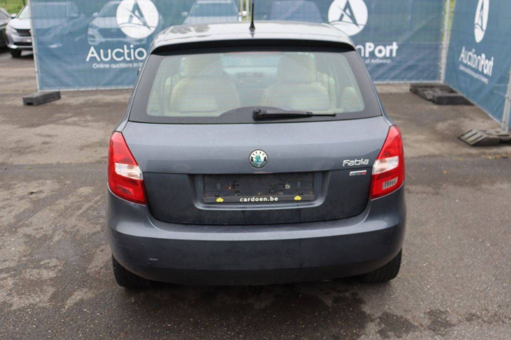Pkw Skoda Fabia Benzin 105 PS 2013 (Margin)