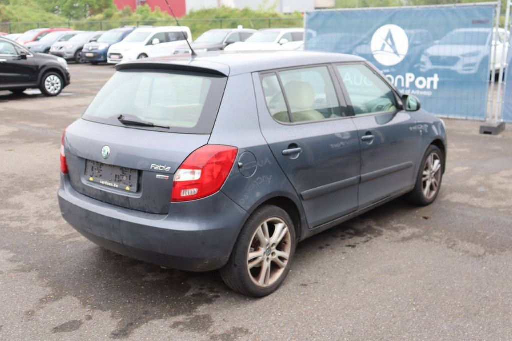 Pkw Skoda Fabia Benzin 105 PS 2013 (Margin)