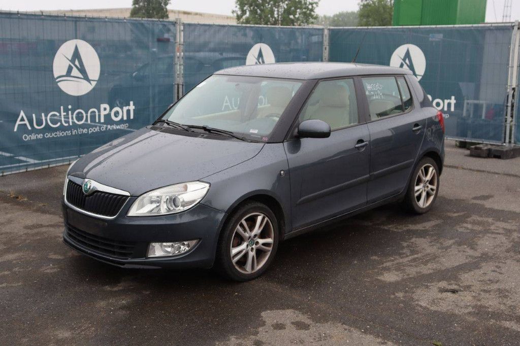 Pkw Skoda Fabia Benzin 105 PS 2013 (Margin)