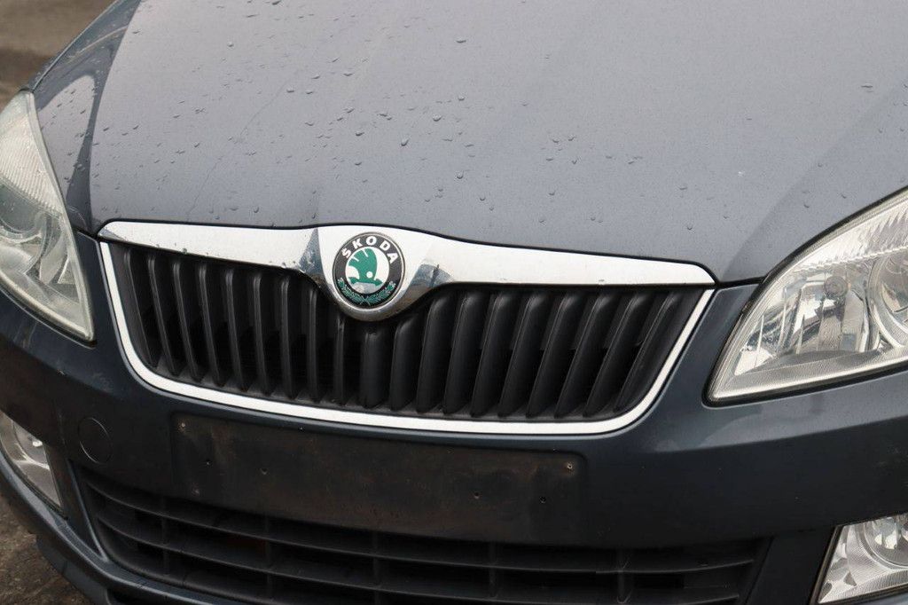 Pkw Skoda Fabia Benzin 105 PS 2013 (Margin)