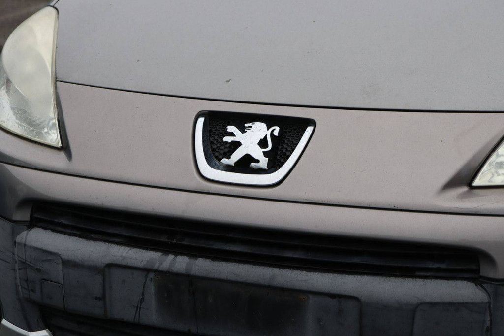 Pkw Peugeot Partner Diesel 75 PS 2010 (Marge)