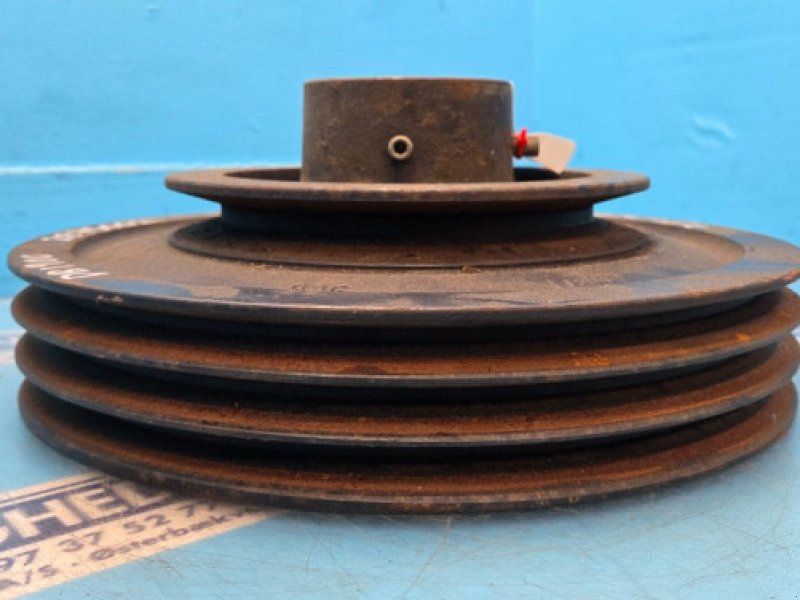 D1900