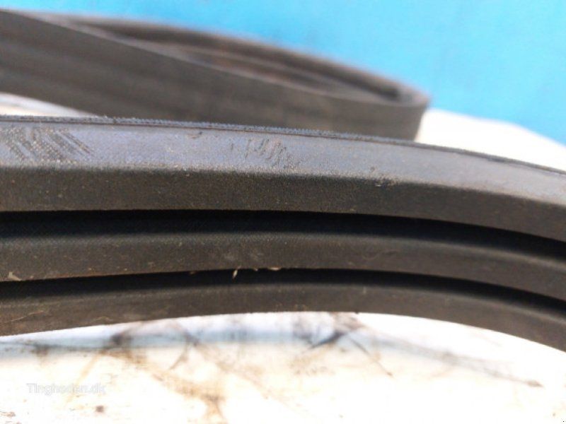 Case 8010
