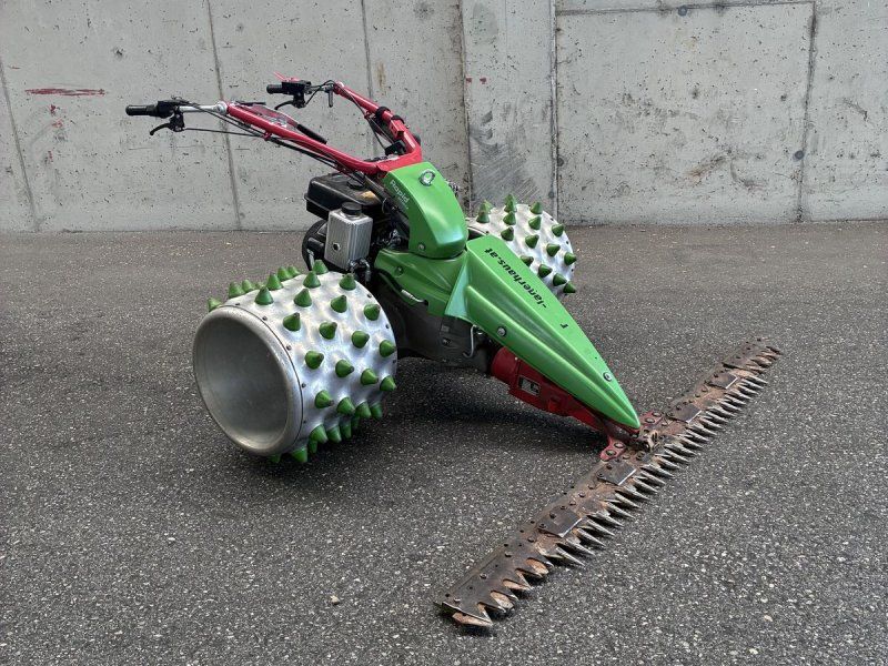 Rapid Monta