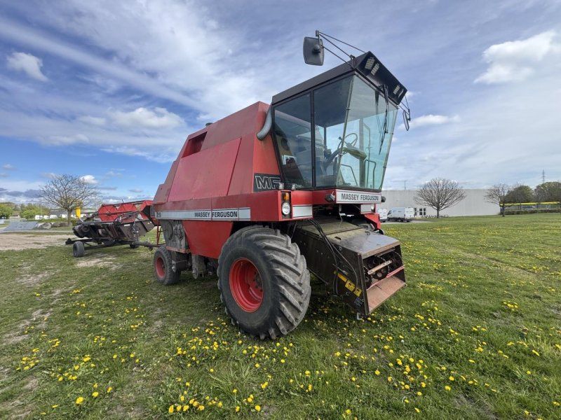 Massey Ferguson 29