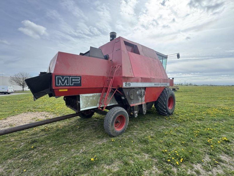 Massey Ferguson 29