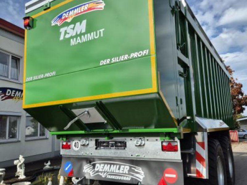 Demmler TSM 2170 LL