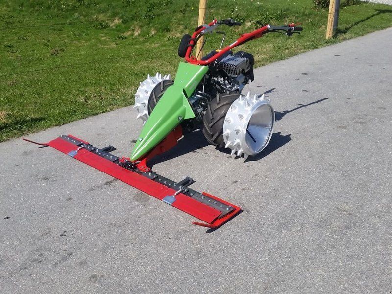 Rapid Swiss