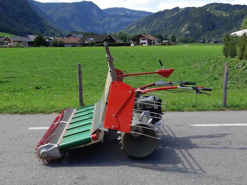 Rapid Multitwister