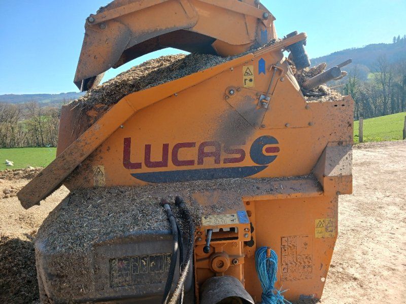 Lucas Castor + 30