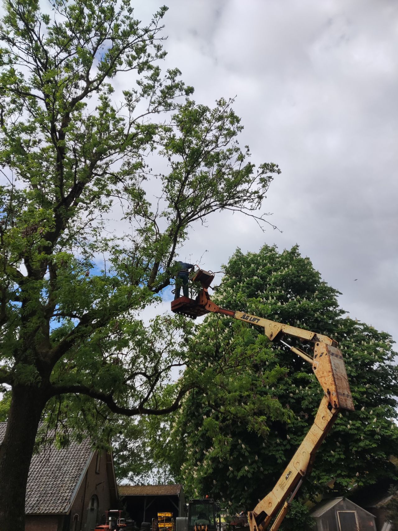 JLG-LIFT hoogwerker (type N 35 Electric, 12,7 m., 227 kg)