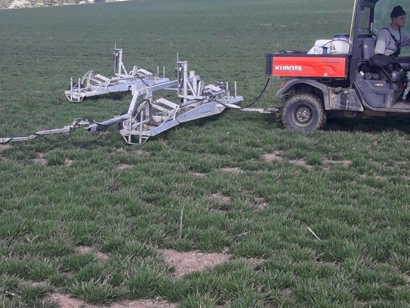 C-Nox Eliminator