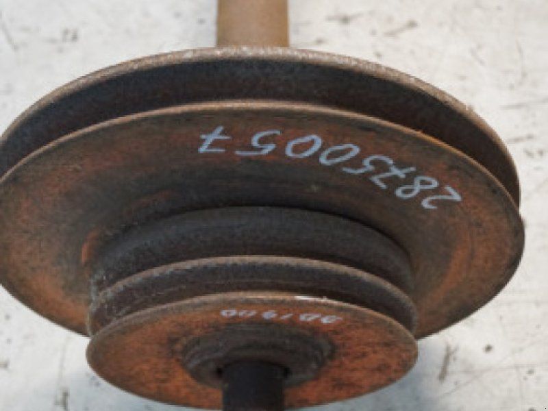 D1900